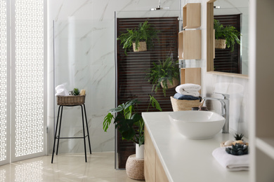 Photo of Bathroom interior with shower stall, counter and houseplants. Idea for design