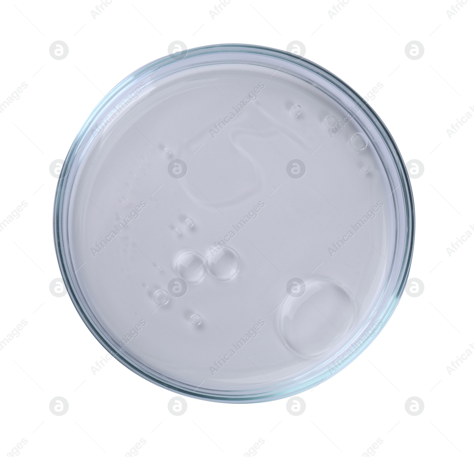 Photo of Petri dish with liquid sample isolated on white, top view