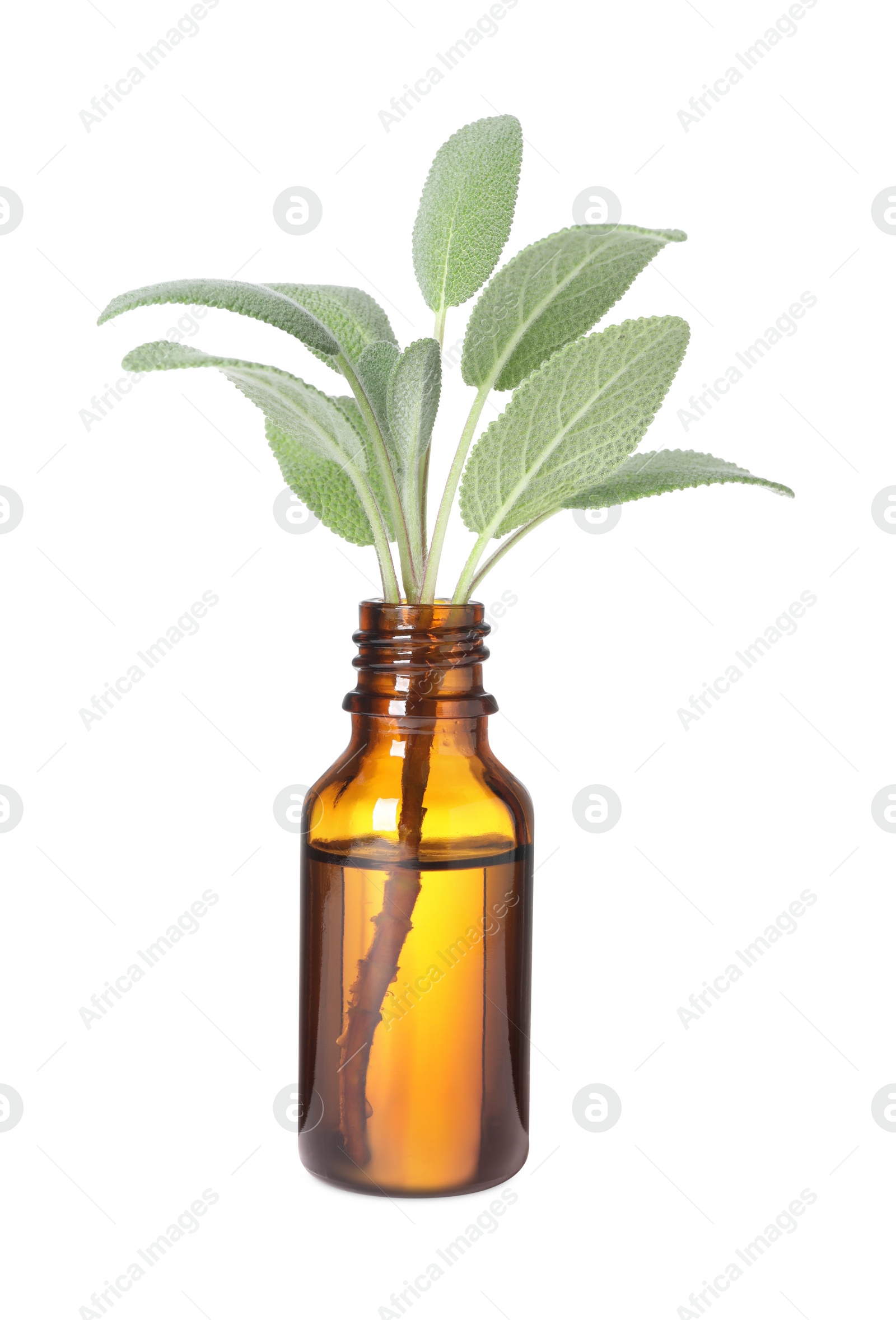 Photo of One bottle with essential oil and sage isolated on white