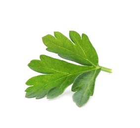 Photo of Fresh green parsley on white background