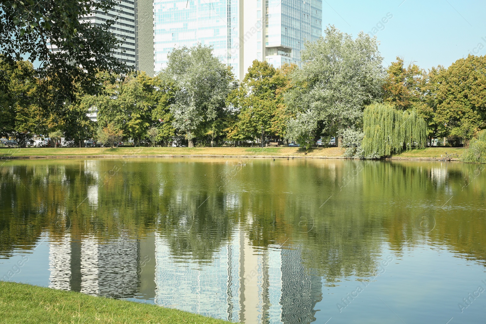 Photo of Quiet park with trees and lake on sunny day