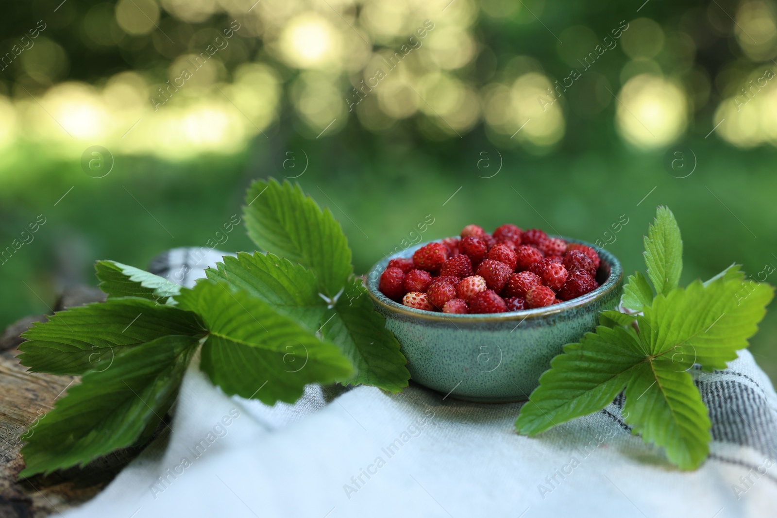 Photo of Bowl of tasty wild strawberries and green leaves on cloth against blurred background