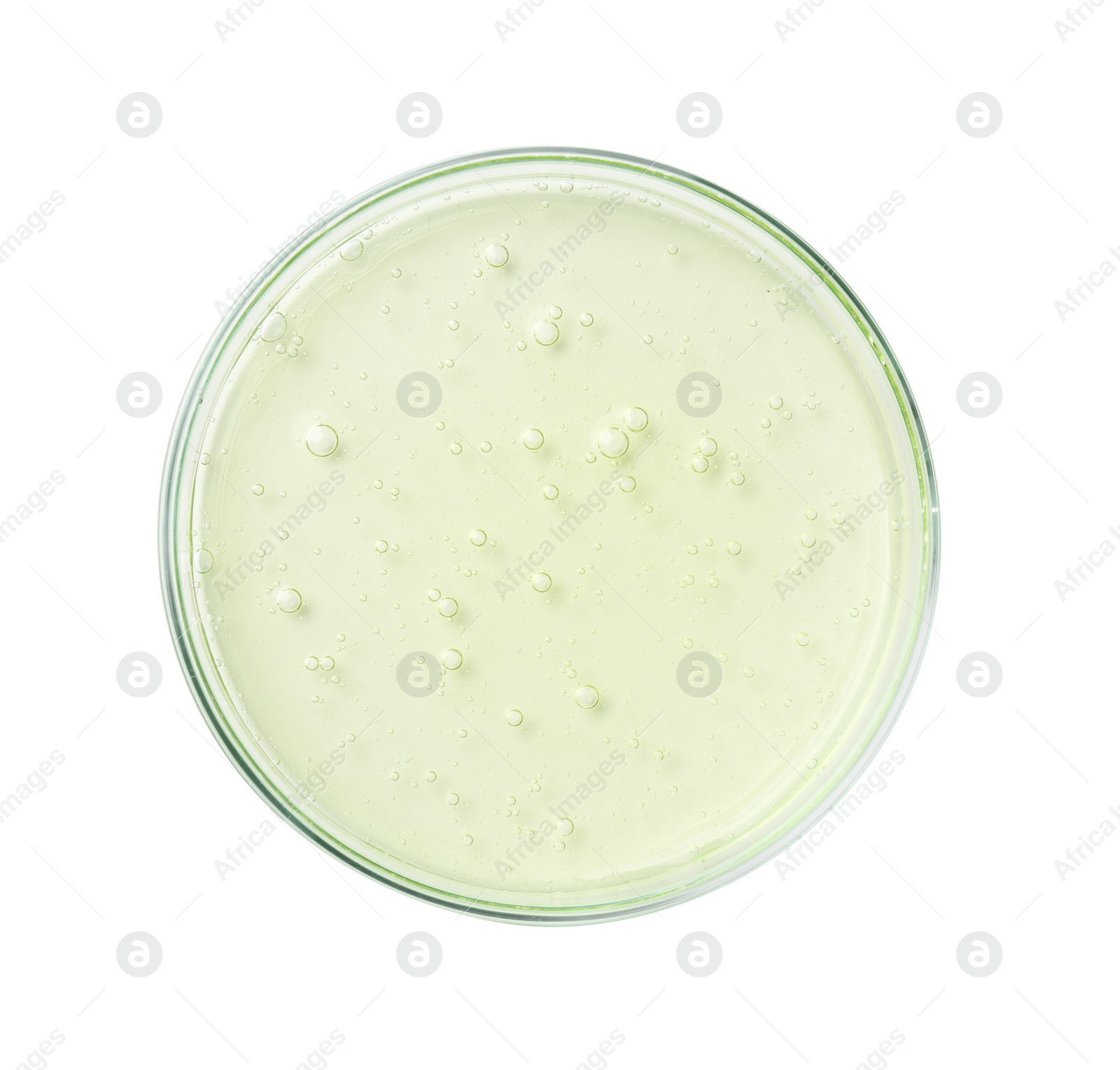 Photo of Petri dish with liquid sample on white background, top view