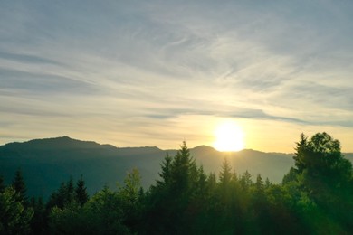 Aerial view of beautiful mountain landscape with green trees at sunrise