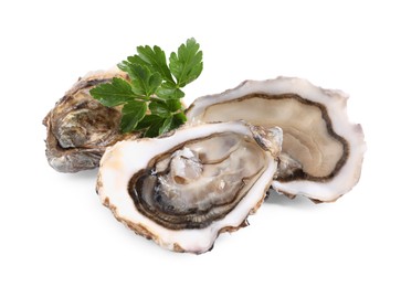 Photo of Fresh raw oysters served on white background