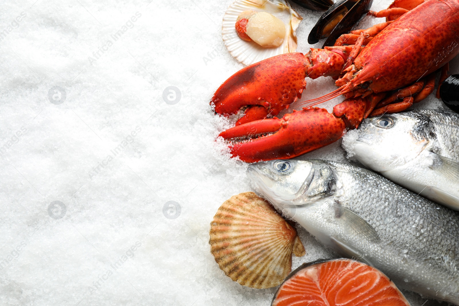 Photo of Fresh fish and seafood on ice, flat lay. Space for text