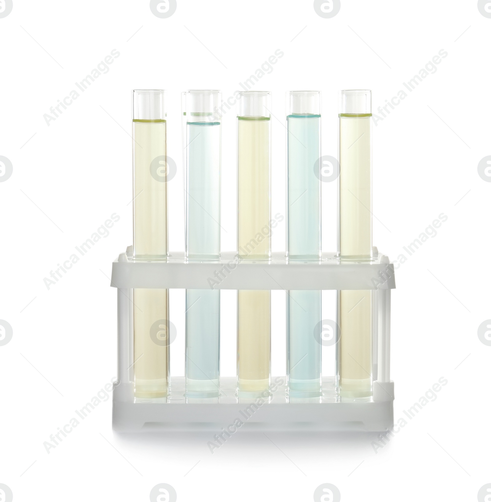 Photo of Holder with test tubes on white background. Laboratory analysis