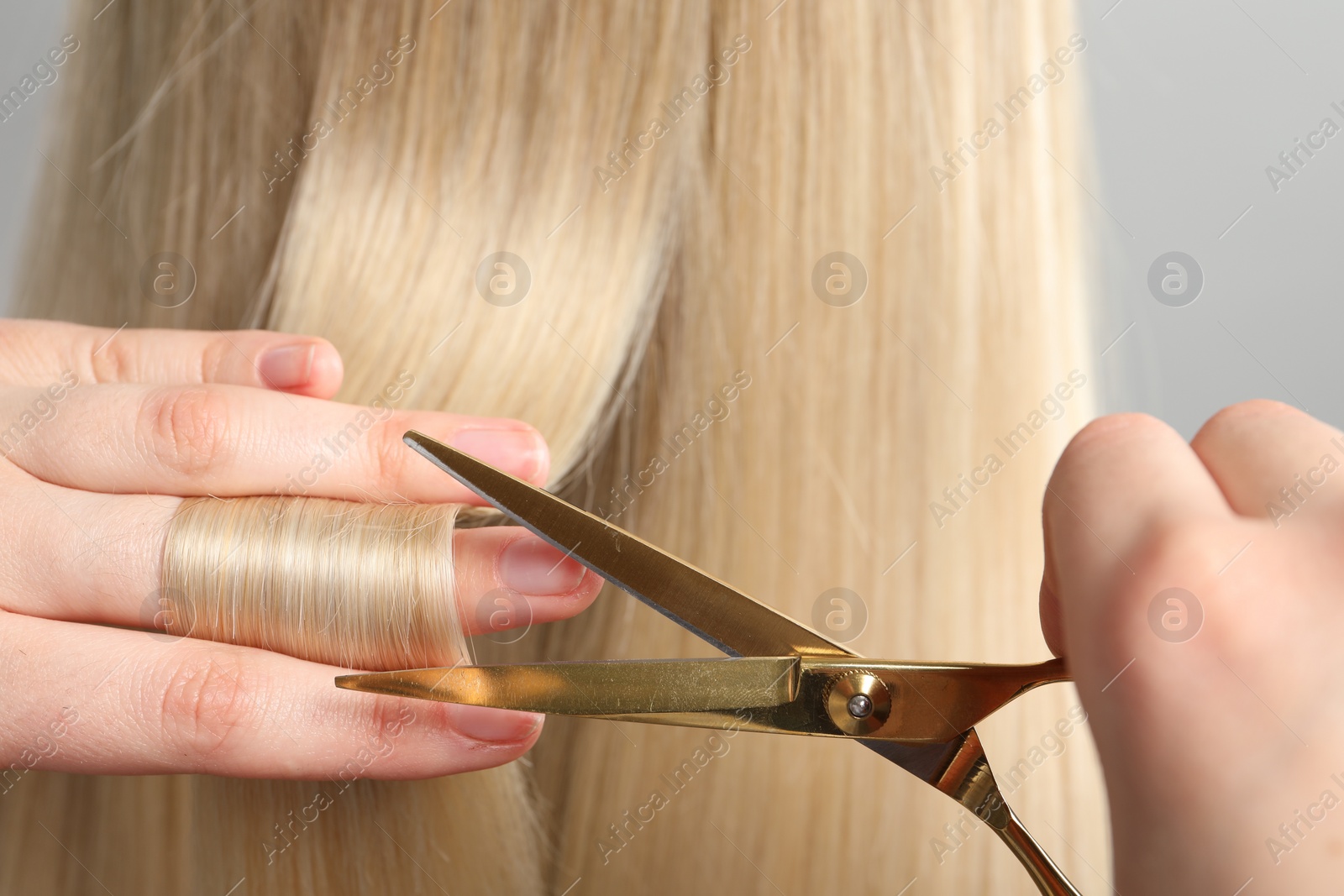 Photo of Hairdresser cutting client's hair with scissors on light grey background, closeup