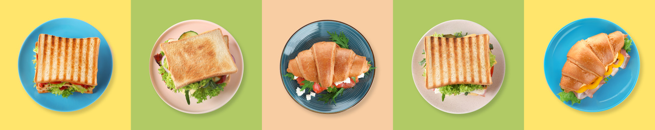 Image of Set of different yummy sandwiches on color background, top view. Banner design 