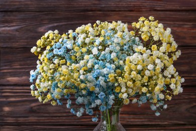 Photo of Beautiful dyed gypsophila flowers in glass vase near wooden wall