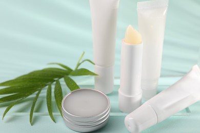 Different lip balms and palm leaf on light blue background, closeup