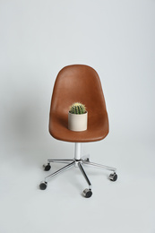 Photo of Chair with cactus on white background. Hemorrhoids concept