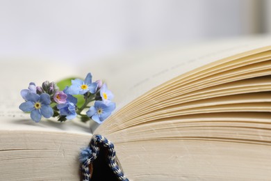 Beautiful forget-me-not flowers and book on light background, closeup