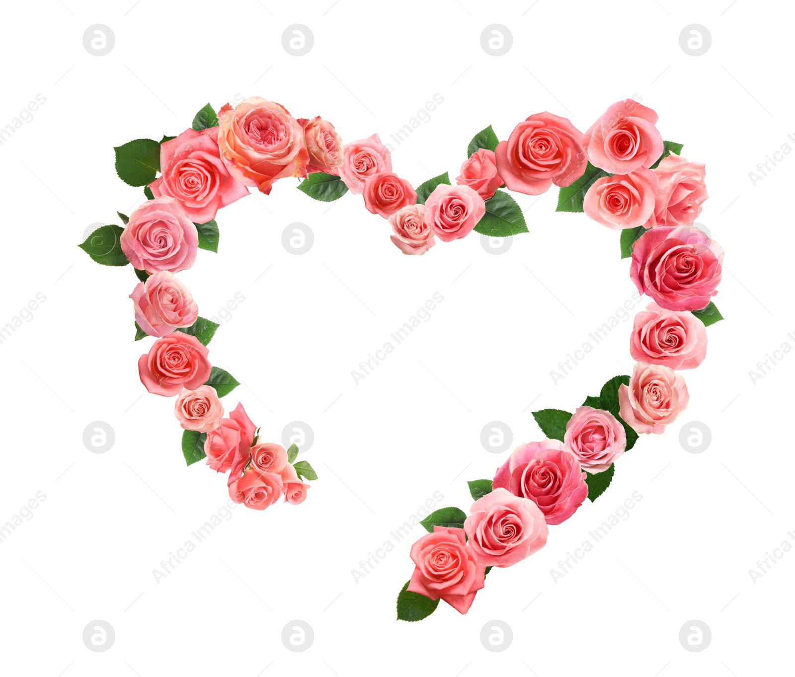 Image of Heart made of beautiful pink roses on white background