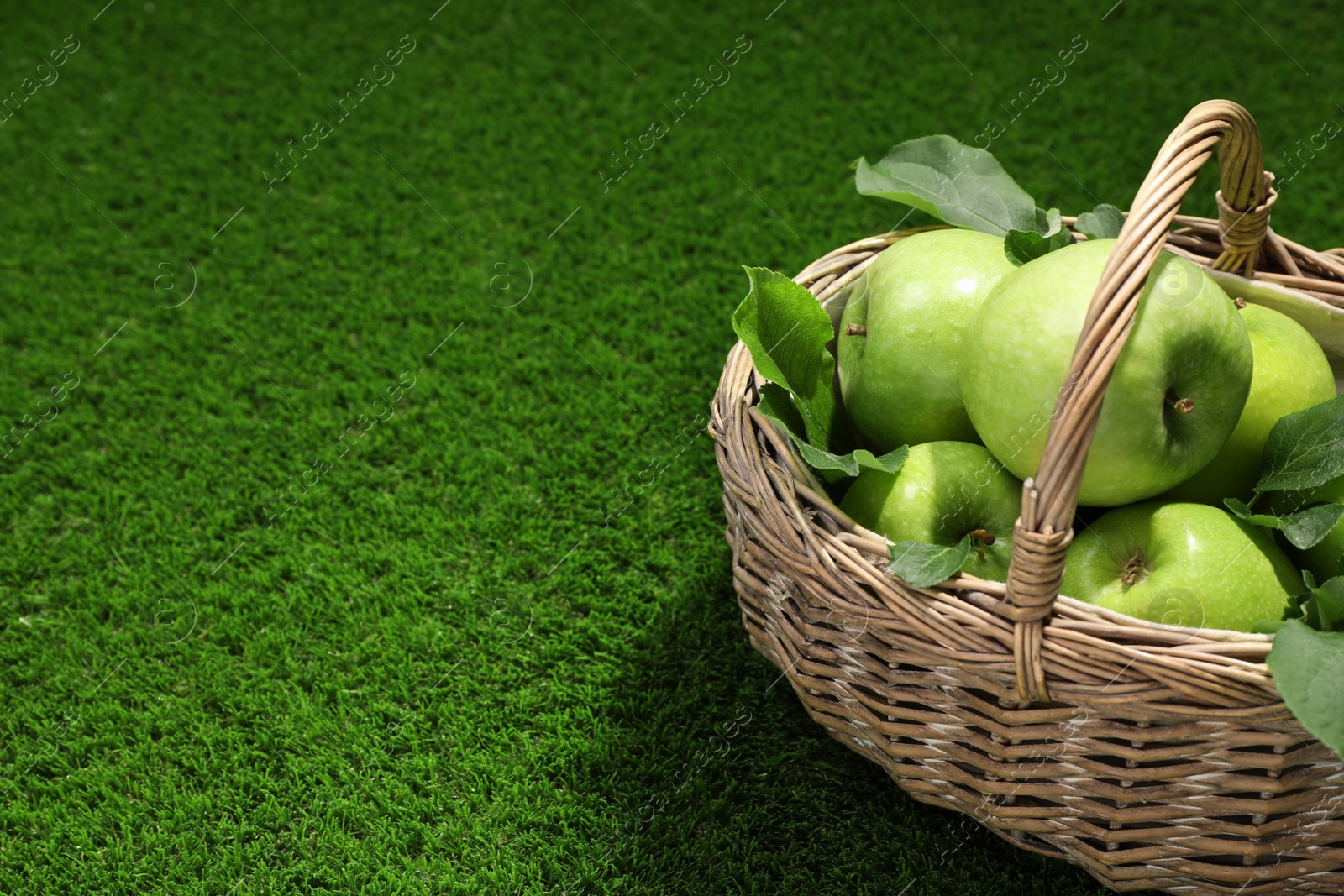 Photo of Ripe green apples with leaves in wicker basket on grass. Space for text