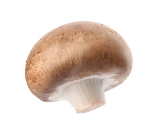 Fresh champignon mushroom isolated on white. Healthy food