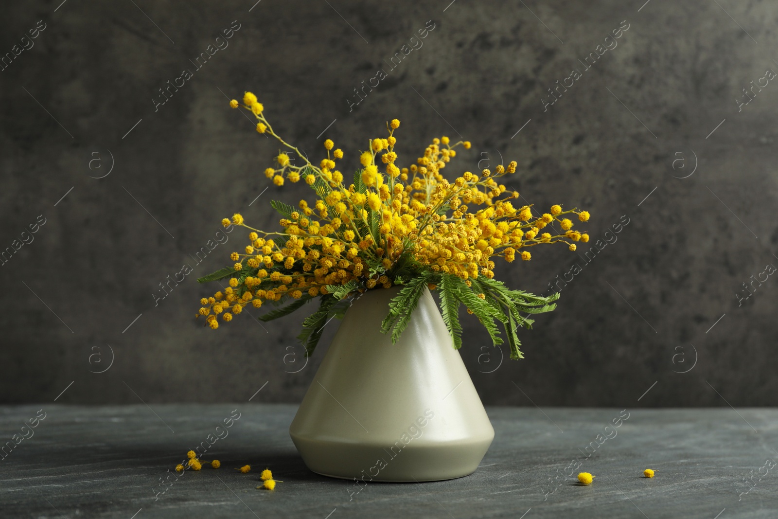 Photo of Bouquet of beautiful mimosa flowers on black background