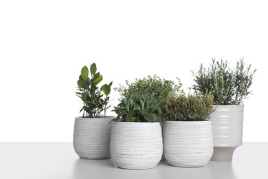 Photo of Pots with thyme, bay, sage and rosemary on white background