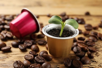 Coffee capsules, seedling and beans on wooden table, closeup