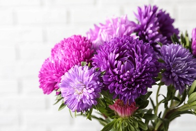 Beautiful aster flower bouquet against brick wall, closeup