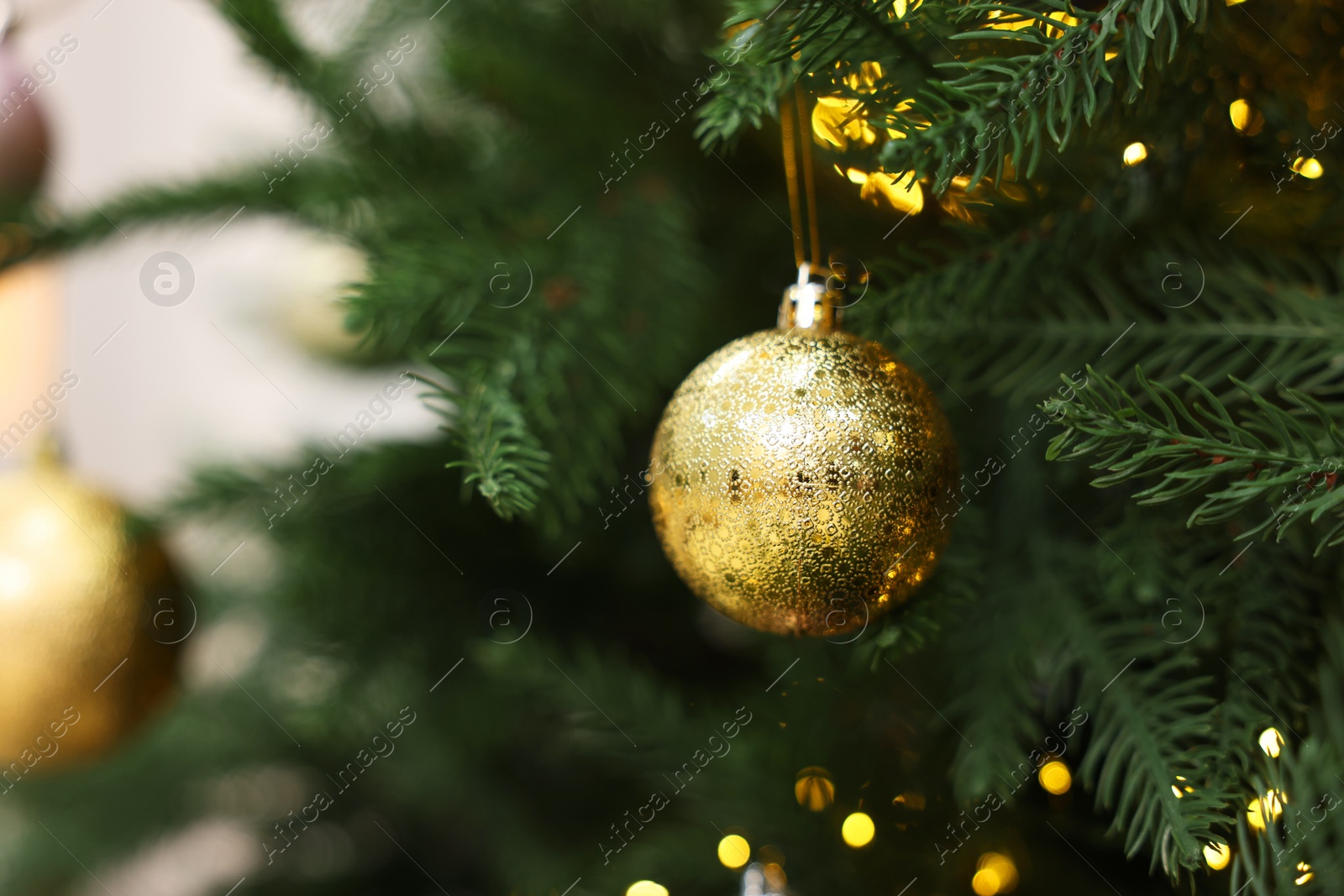 Photo of Beautiful Christmas ball hanging on fir tree branch, closeup