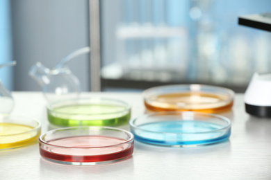 Image of Petri dishes with liquid samples on table. Laboratory analysis