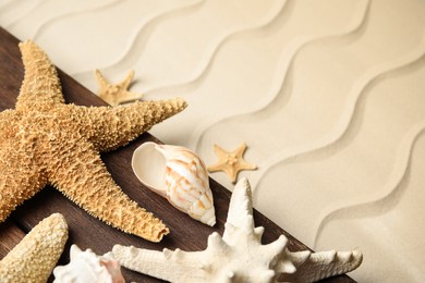 Beautiful sea stars and shells on sand, closeup. Space for text