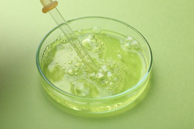 Photo of Petri dish with liquid sample and pipette on green background, closeup