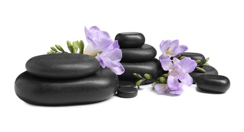 Photo of Beautiful violet freesia flowers and stones isolated on white