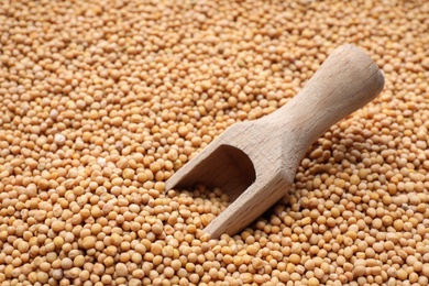 Photo of Mustard seeds with wooden scoop as background, closeup