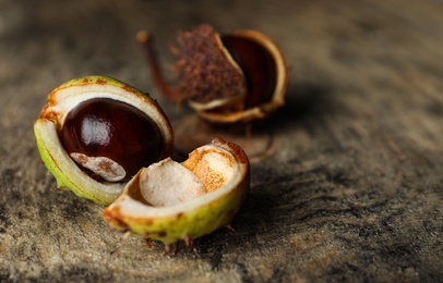 Photo of Horse chestnuts on wooden table, closeup view. Space for text