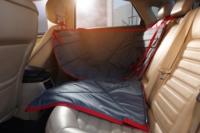 Photo of Black bag carrier for pet in car