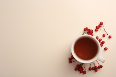 Photo of Aromatic hawthorn tea in cup and berries on beige table, top view. Space for text