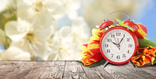 Image of Red alarm clock and tulips on table against blurred background, space for text. Spring time