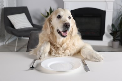 Photo of Cute retriever sitting on grey armchair at table near empty plate with cutlery indoors