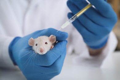 Photo of Scientist with syringe and rat in chemical laboratory, closeup. Animal testing