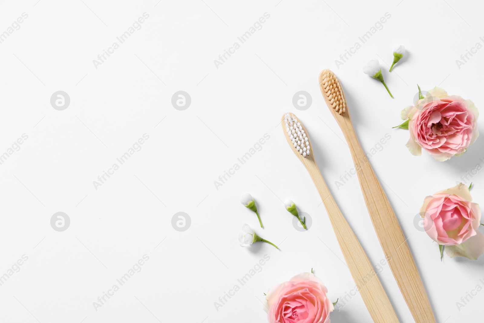 Photo of Flat lay composition with toothbrushes and flowers on white background. Space for text