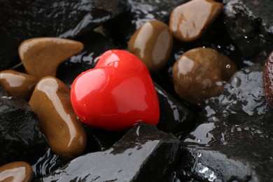 Photo of Red decorative heart on stones and water, closeup