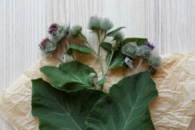 Fresh green burdock leaves, flowers and parchment on wooden table, flat lay