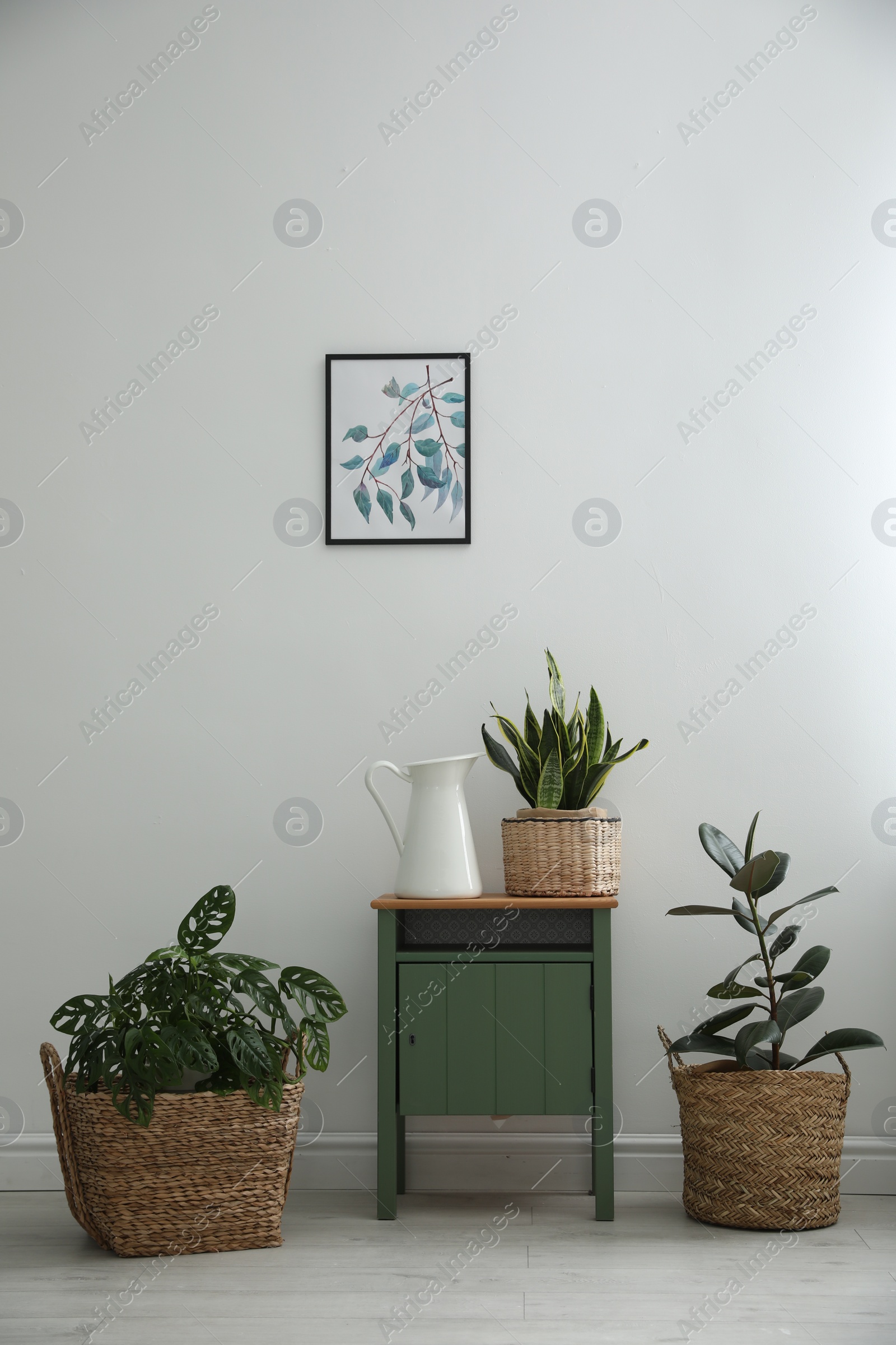 Photo of Different tropical plants in wicker pots near white wall at home