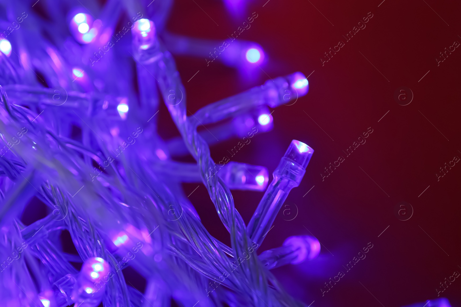 Photo of Glowing Christmas lights on dark red  background, closeup