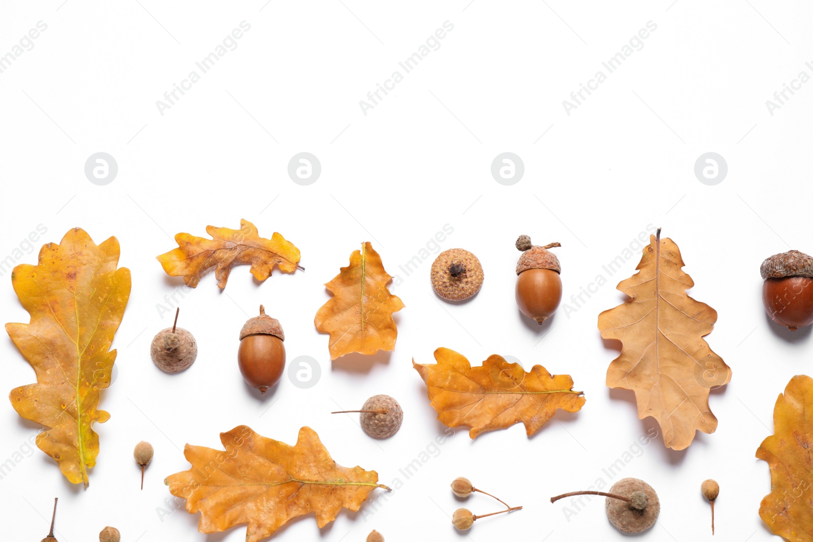 Photo of Flat lay composition with autumn leaves on white background. Space for text