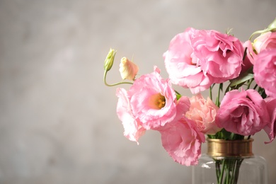 Photo of Beautiful pink Eustoma flowers on grey background, closeup. Space for text
