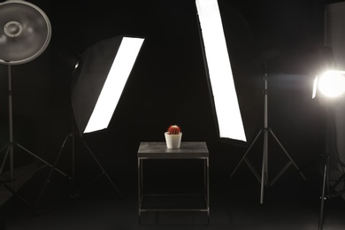 Photo of Interior of modern photo studio with table, cactus and professional lighting equipment