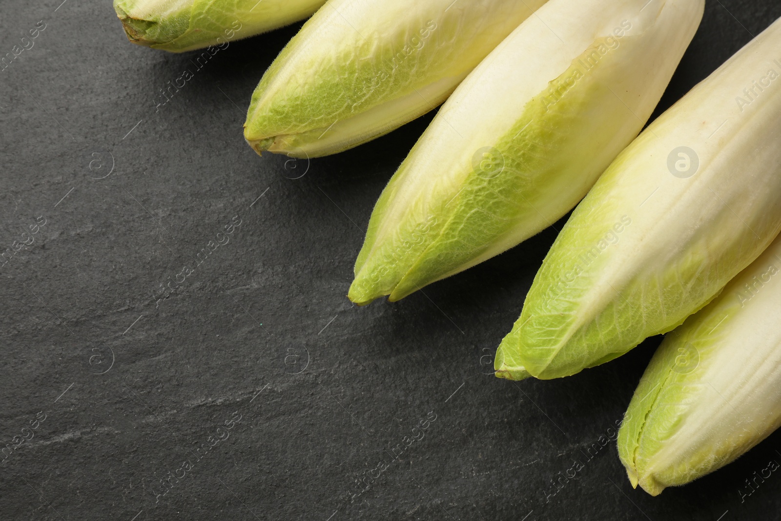 Photo of Fresh raw Belgian endives (chicory) on black table, top view. Space for text