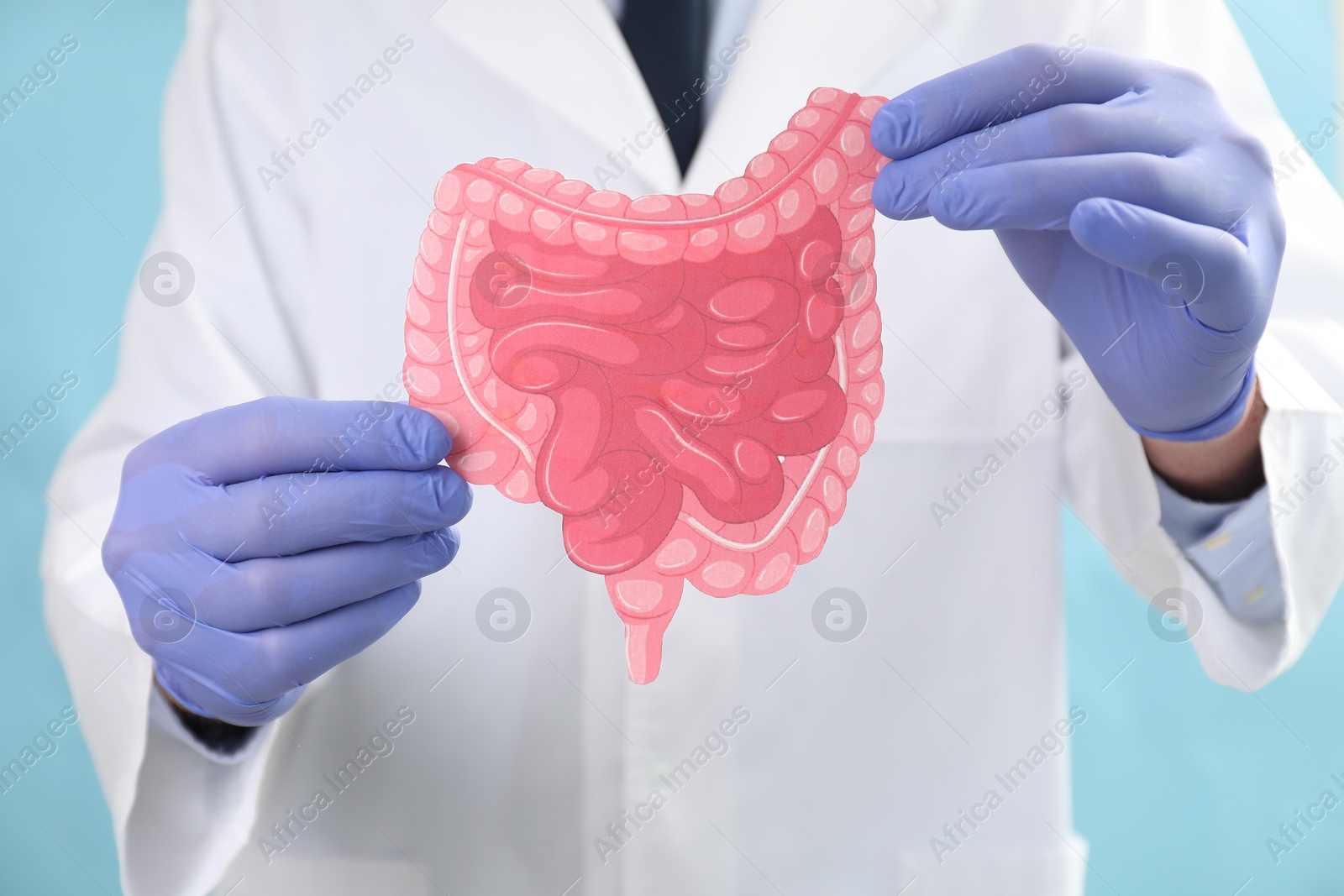 Photo of Doctor with paper intestine cutout on light blue background, selective focus
