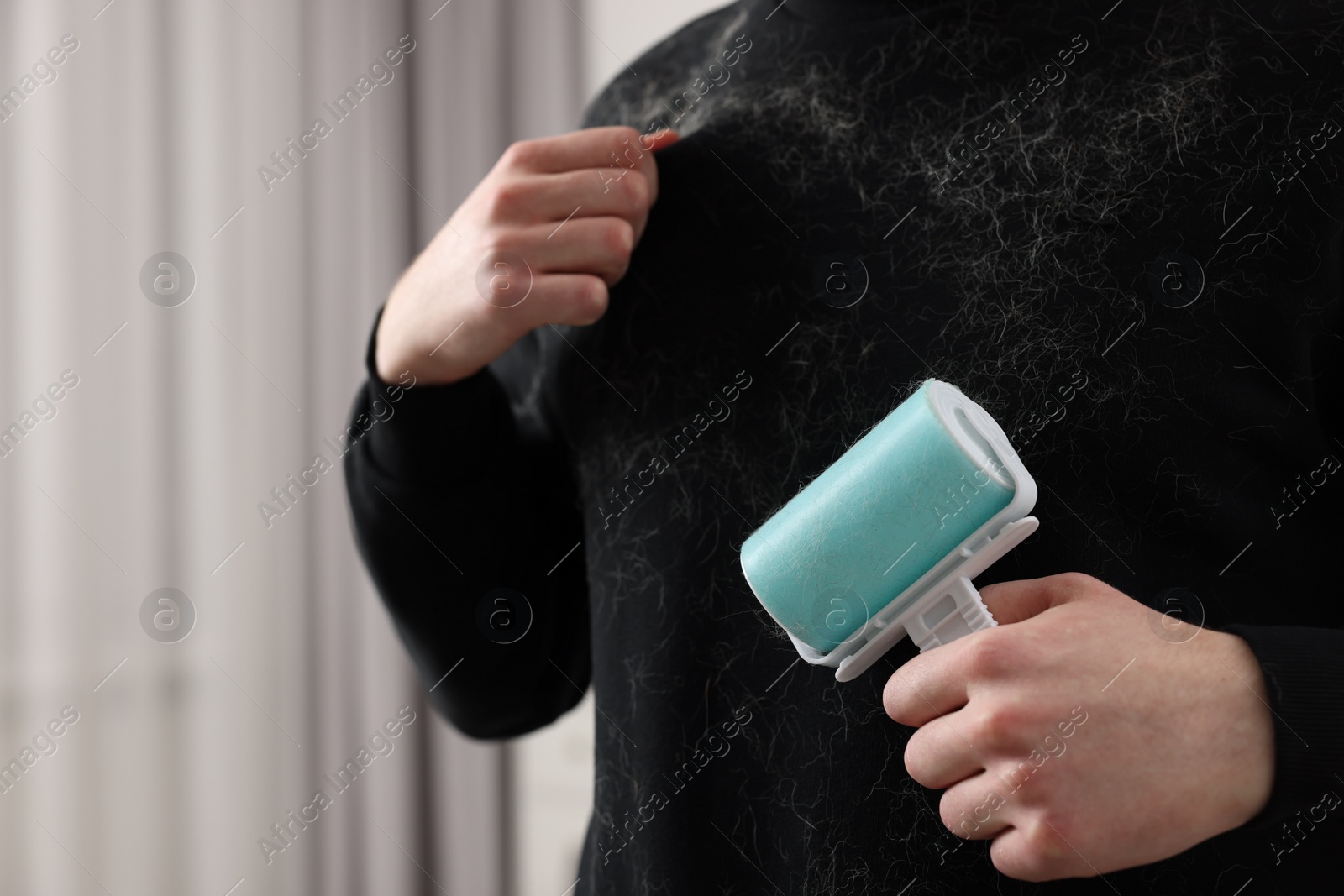 Photo of Pet shedding. Man with lint roller removing dog's hair from sweater at home, closeup