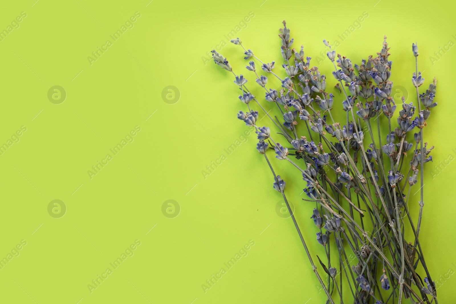 Photo of Beautiful lavender flowers on light green background, flat lay. Space for text