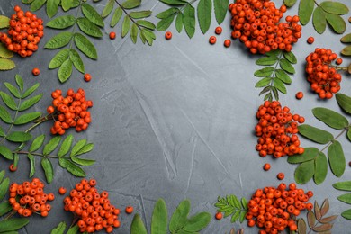 Frame of fresh ripe rowan berries and green leaves on grey table, flat lay. Space for text