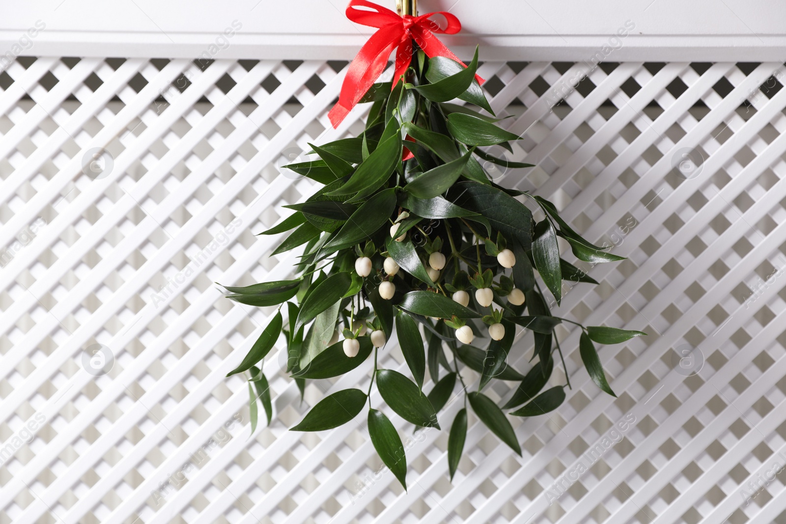 Photo of Mistletoe bunch with red bow hanging on white textured background. Traditional Christmas decor